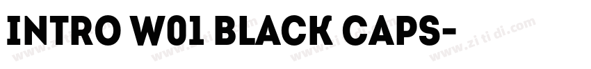 Intro W01 Black Caps字体转换